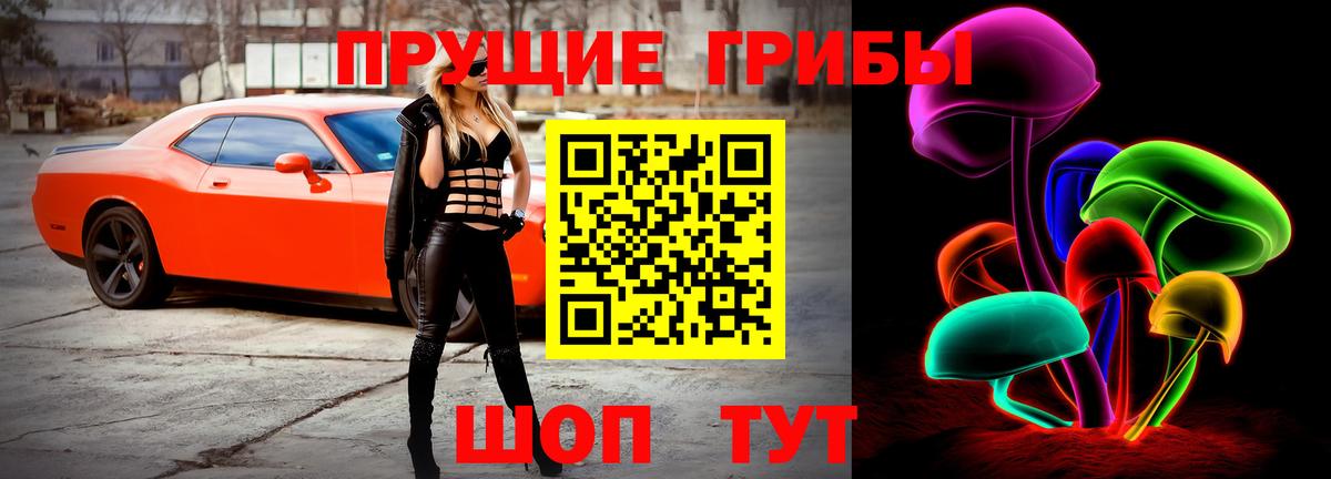 Галлюциногенные грибы MAGIC MUSHROOMS  Вход с VPN  Галлюциногенные грибы Psilocybine cubensis  Мелеуз 